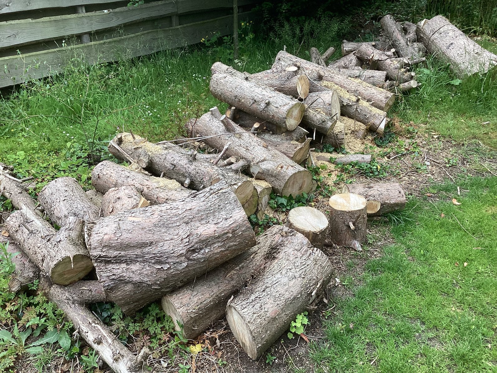Haardhout bijna gratis, 3 tot 6 m³, Ophalen, Overige houtsoorten, Blokken