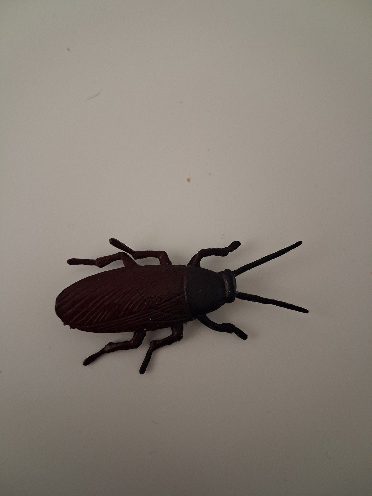 Realistisch Speelgoed Kakkerlak - Prank Item, Ophalen of Verzenden, Nieuw, Insect, Beeldje of Figuurtje