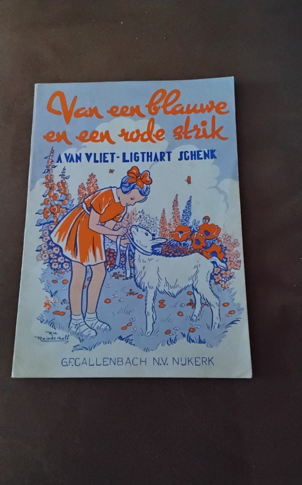 Van een blauwe en een rode strik - Prentenboek, Ophalen of Verzenden, Gelezen, A. van Vliet-Ligthart Schenk, Prentenboek