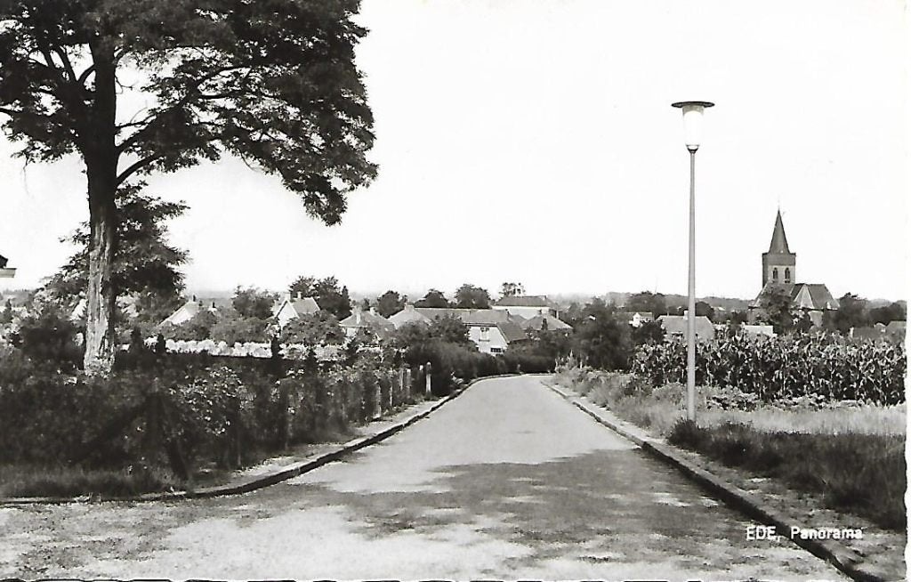 Ede- -Panorama., Verzenden, 1960 tot 1980, Gelopen, Gelderland