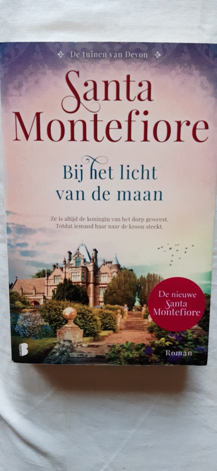 Santa Montefiore:Bij het Licht van de Maan, Zigeuner Madonna, Ophalen of Verzenden, Zo goed als nieuw, Santa Montefiore
