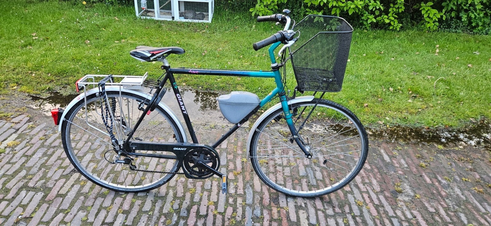Giant stadsfiets met 12 versnellingen, Fietsen en Brommers, Ophalen, Gebruikt, Giant, Versnellingen