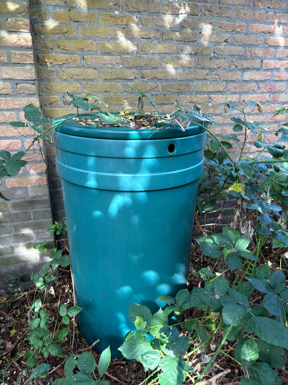 Regenton, zo goed als nieuw, 150 liter of meer, Ophalen of Verzenden, Zo goed als nieuw, Kunststof