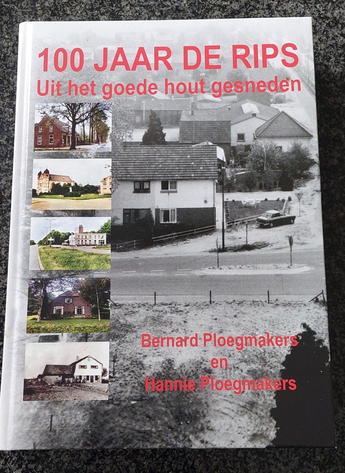 De Rips, 100 jaar De Rips, groot dik boek in nieuwstaat, Ophalen of Verzenden, Zo goed als nieuw, Architectuur algemeen