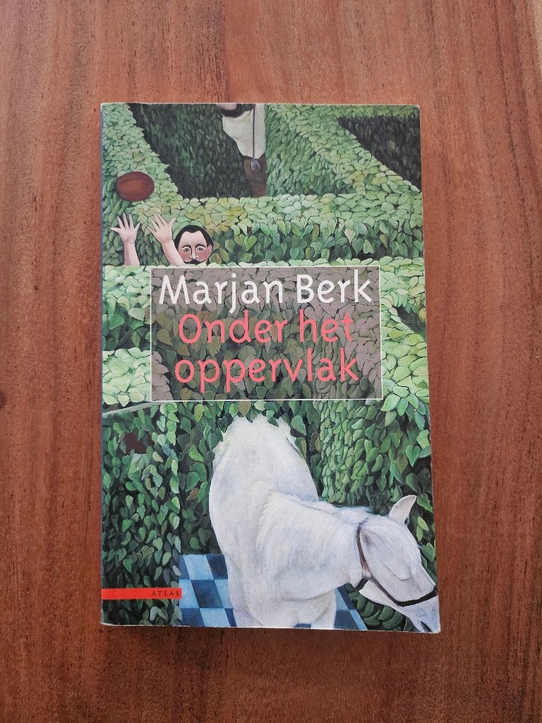 Onder het oppervlak van Marjan Berk, Ophalen of Verzenden, Gelezen, Nederland
