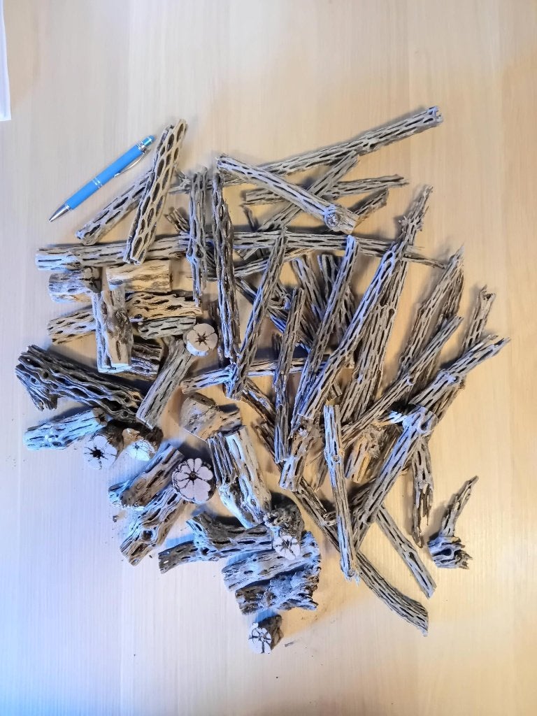 cholla wood, Ophalen, Nieuw, Decoratie, Overige merken