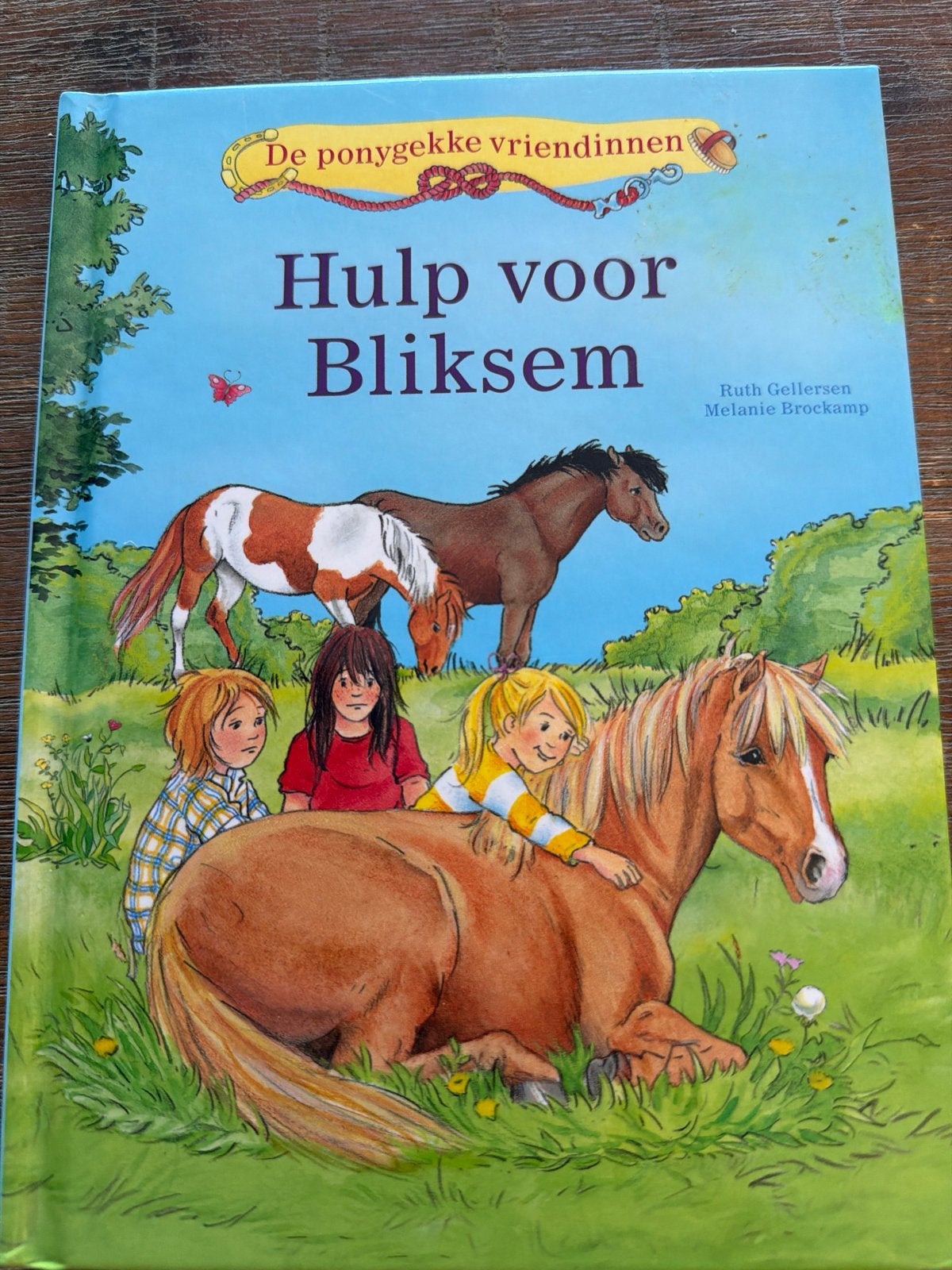 De ponygekke vriendinnen: Hulp voor Bliksem, Boeken, Ophalen, Gelezen, Fictie algemeen