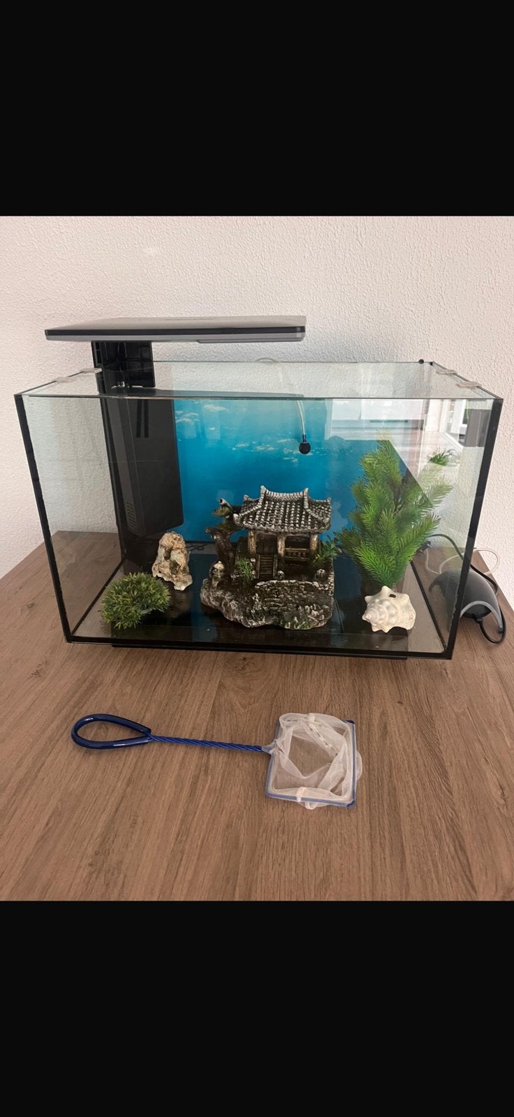 Aquarium 67L met accessories, Dieren en Toebehoren, Vissen | Aquaria en Toebehoren, Ophalen of Verzenden, Zo goed als nieuw, Leeg aquarium