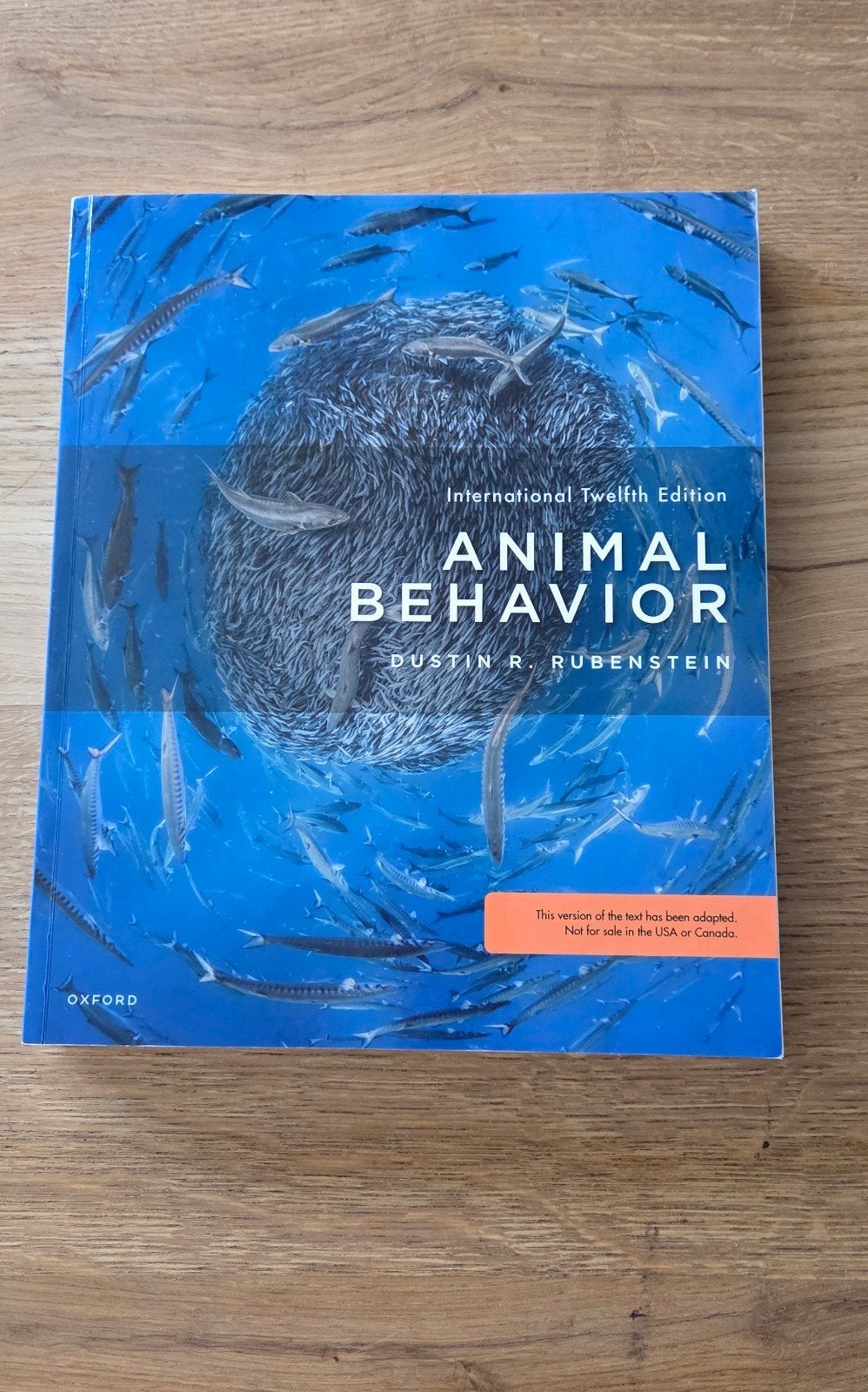 Studieboek, Eén persoon, Kortingskaart