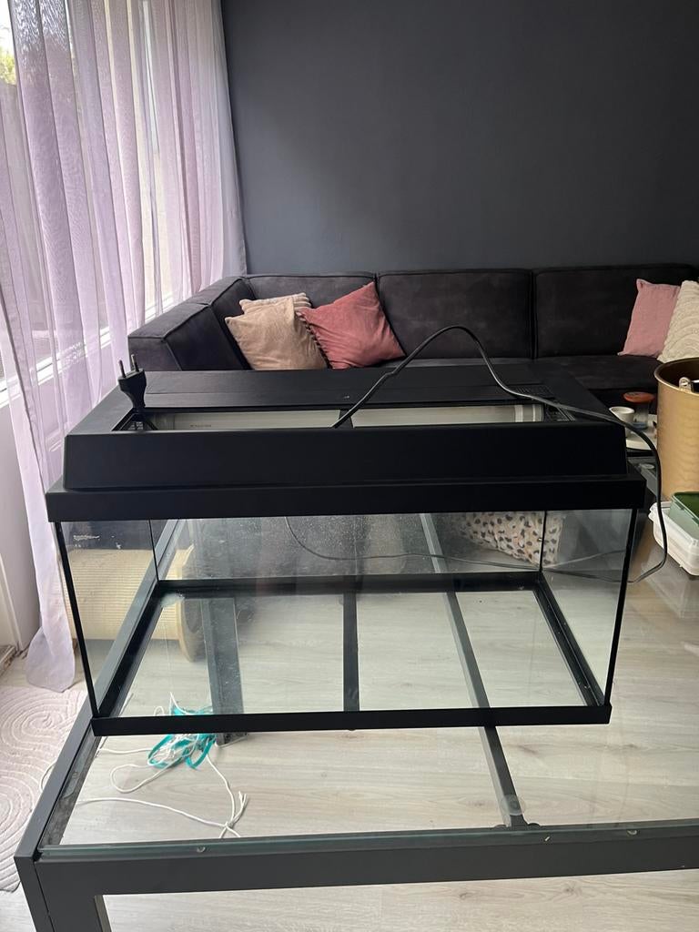 Terrarium, Gebruikt, Minder dan 75 cm, Ophalen, Minder dan 60 cm