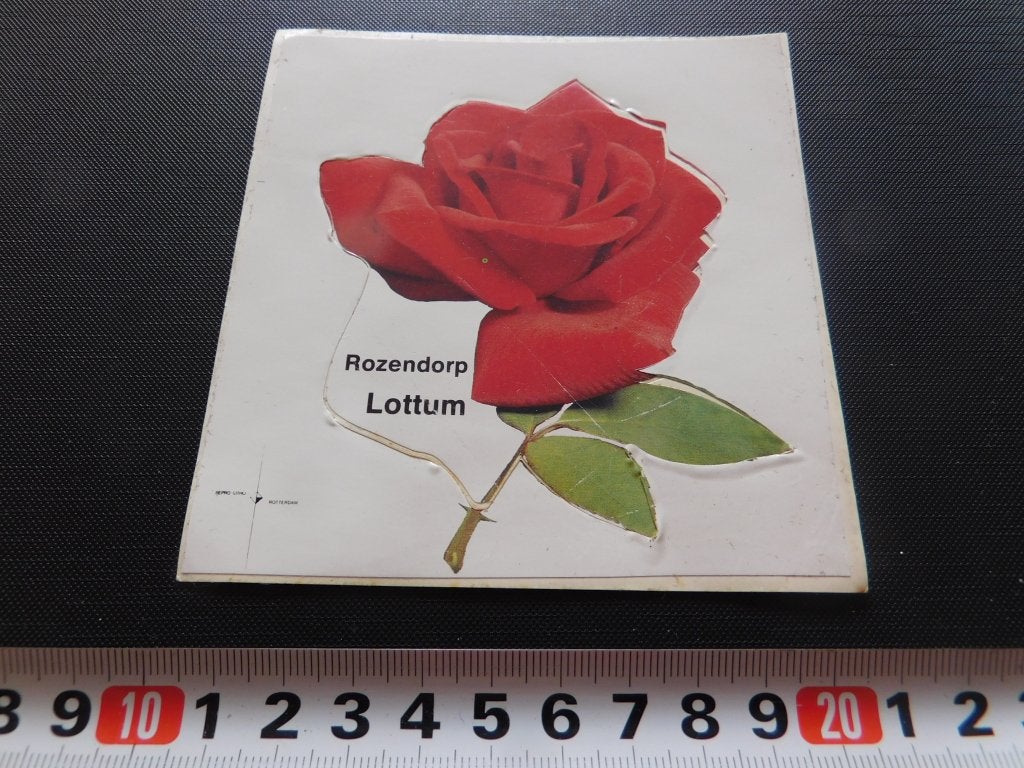 sticker Lottum   Rozendorp, Ophalen of Verzenden, Zo goed als nieuw
