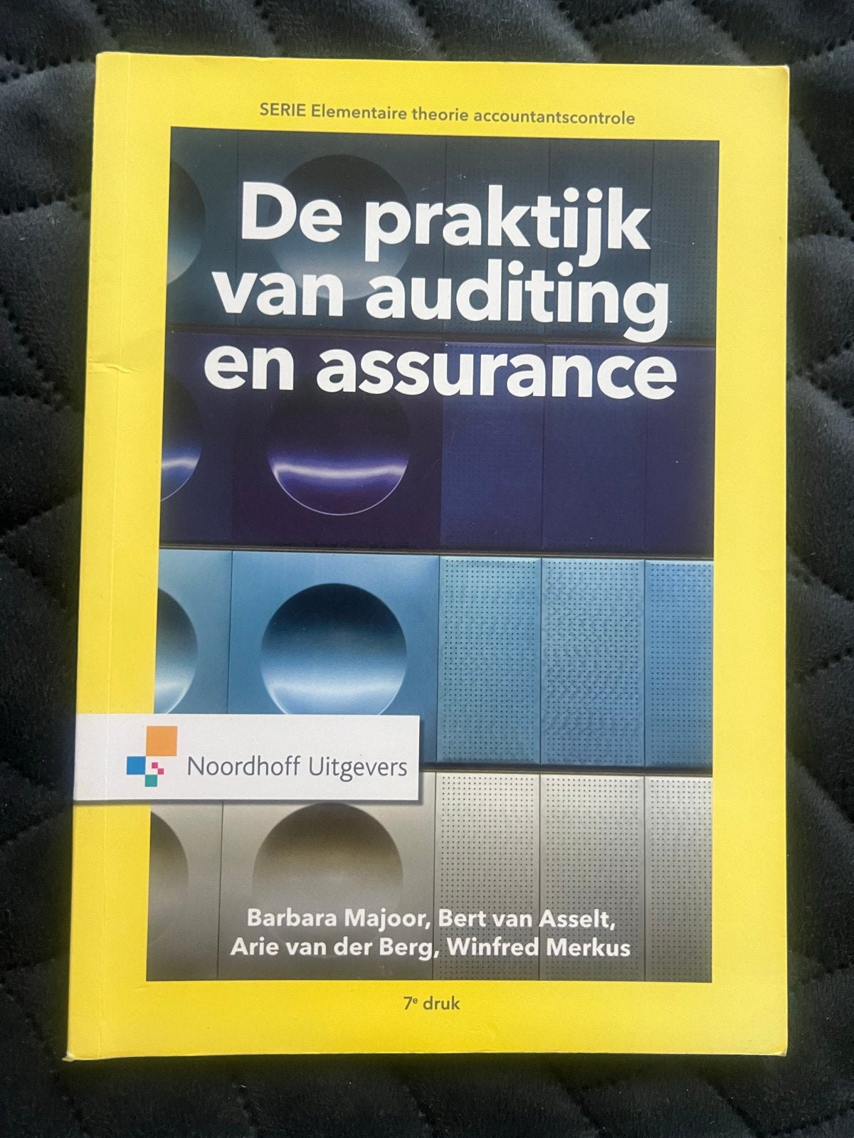 De praktijk van auditing en assurance - 7e druk, Boeken, Studieboeken en Cursussen, Ophalen of Verzenden, Gamma, Zo goed als nieuw