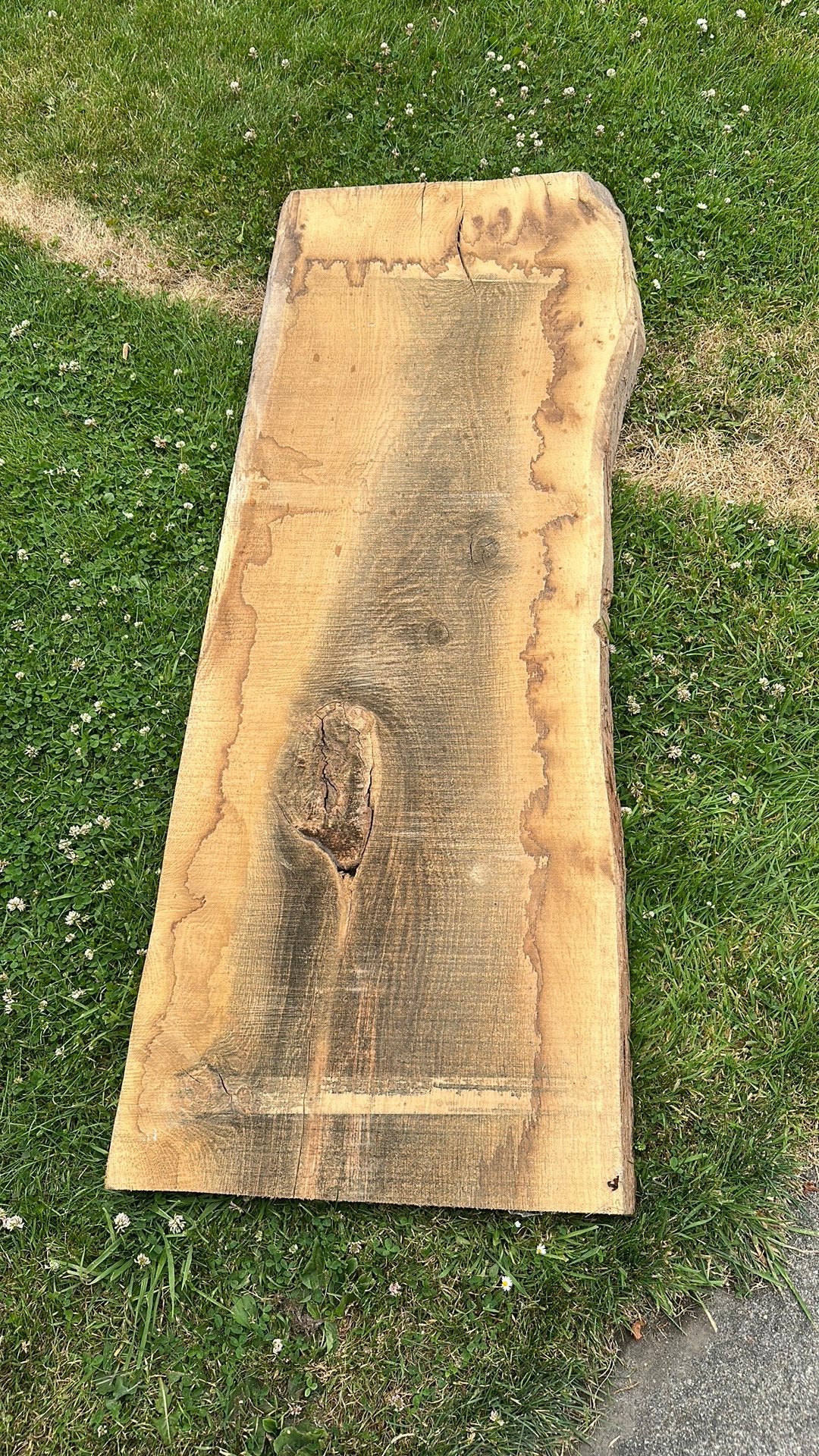 Eiken boomstam plank, Doe-het-zelf en Verbouw, Hout en Planken, Ophalen, Minder dan 25 mm, Eiken, Zo goed als nieuw