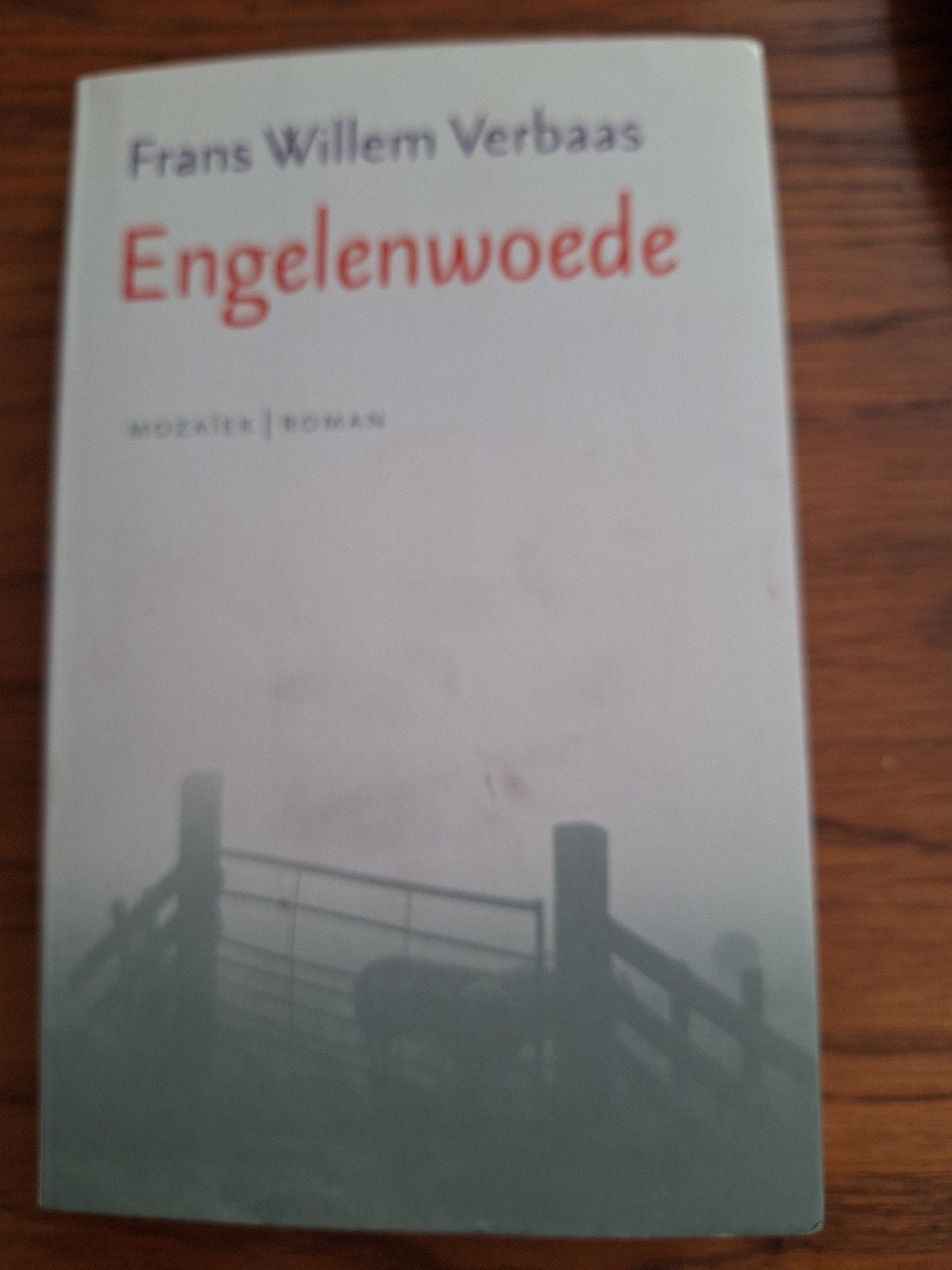 F.W. Verbaas - Engelenwoede, Ophalen of Verzenden, Gelezen, F.W. Verbaas