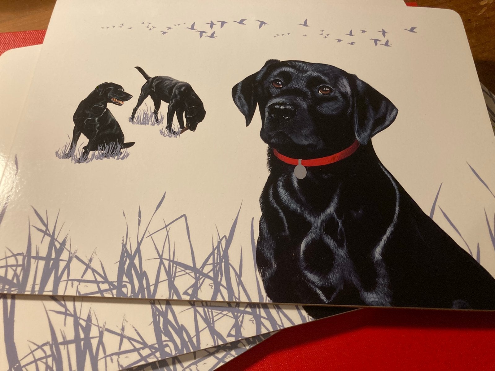 Set mooie placemats honden, Ophalen of Verzenden