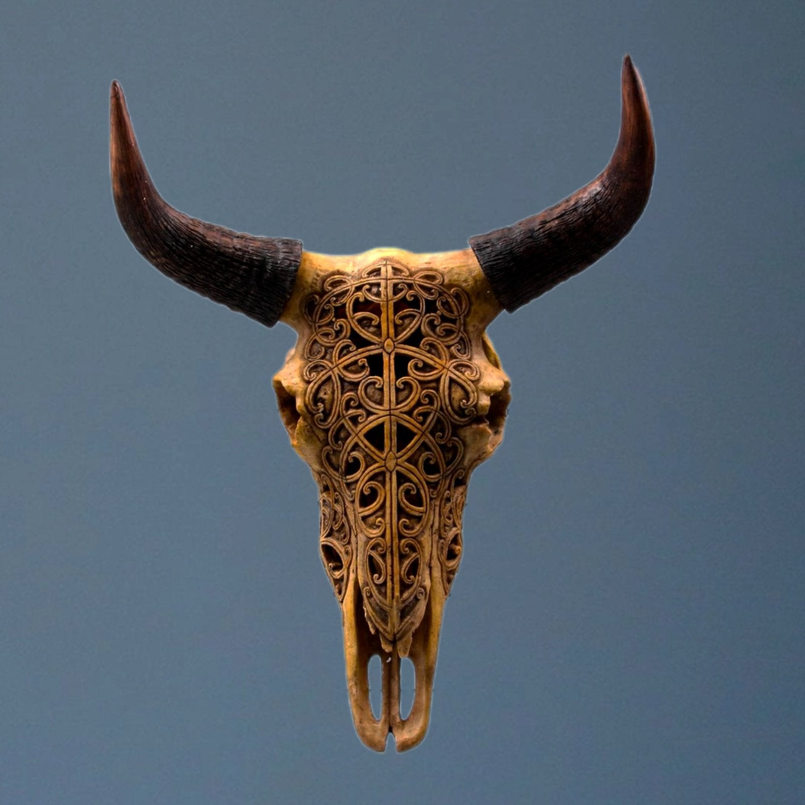 Prachtig gesneden schedel van een stier met hoorns, Antiek en Kunst, Ophalen, Natuurlijk materiaal, 20 - 50 cm, Beeld