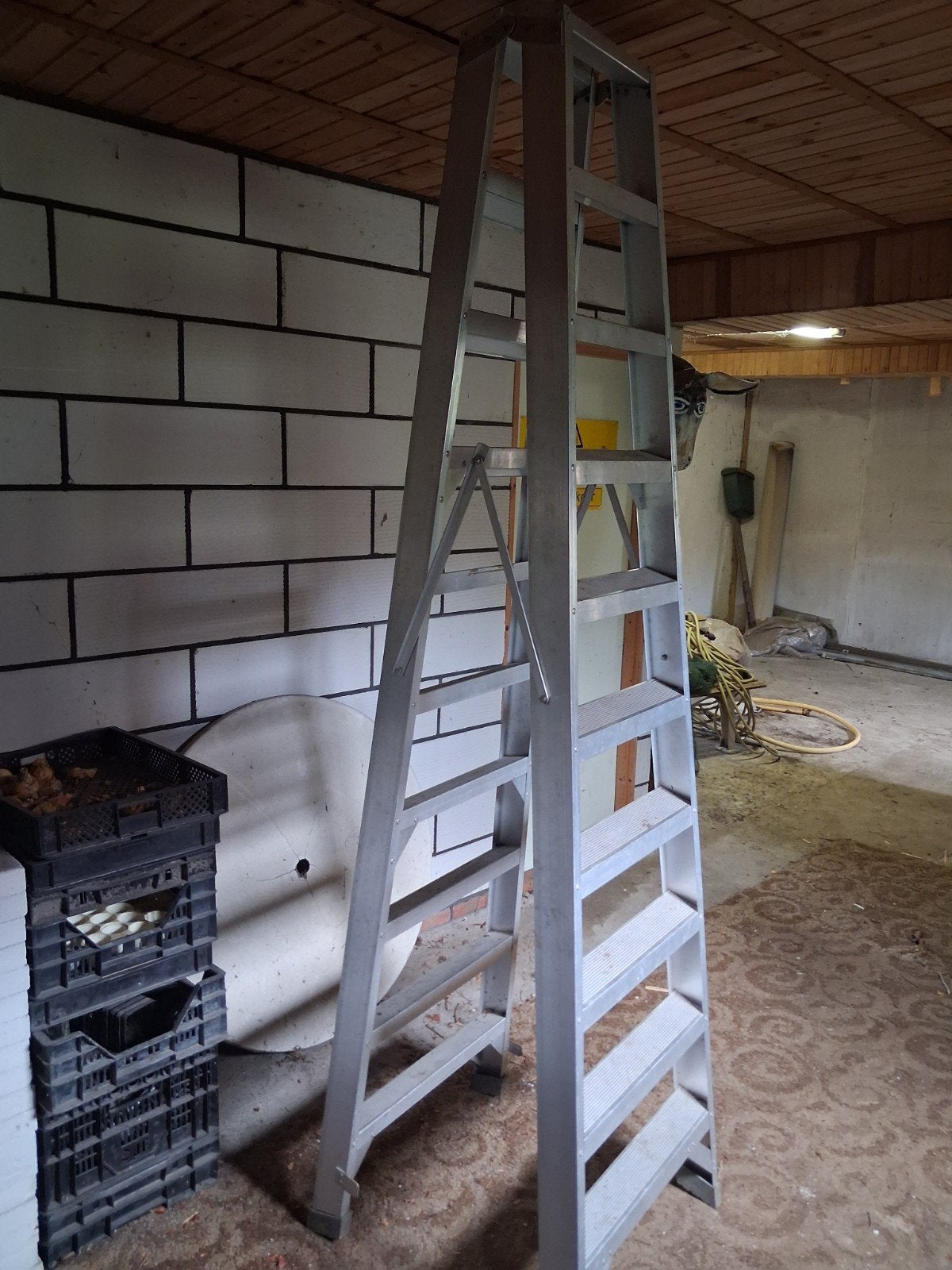 Ladder, Doe-het-zelf en Verbouw, Ophalen, Gebruikt, Ladder, 2 tot 4 meter