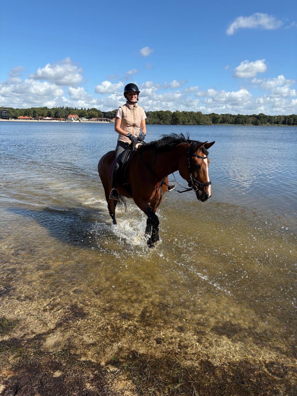 Leuke recreatie merrie te koop!, B, 170 tot 175 cm, 11 jaar of ouder, Recreatiepaard
