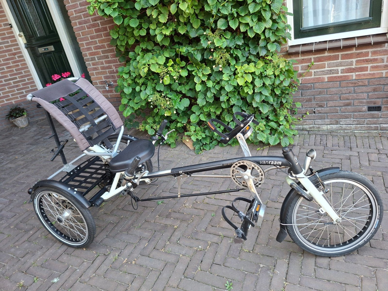 mooie Van Raam Easy Sport ligfiets, Ophalen, Gebruikt, Van Raam