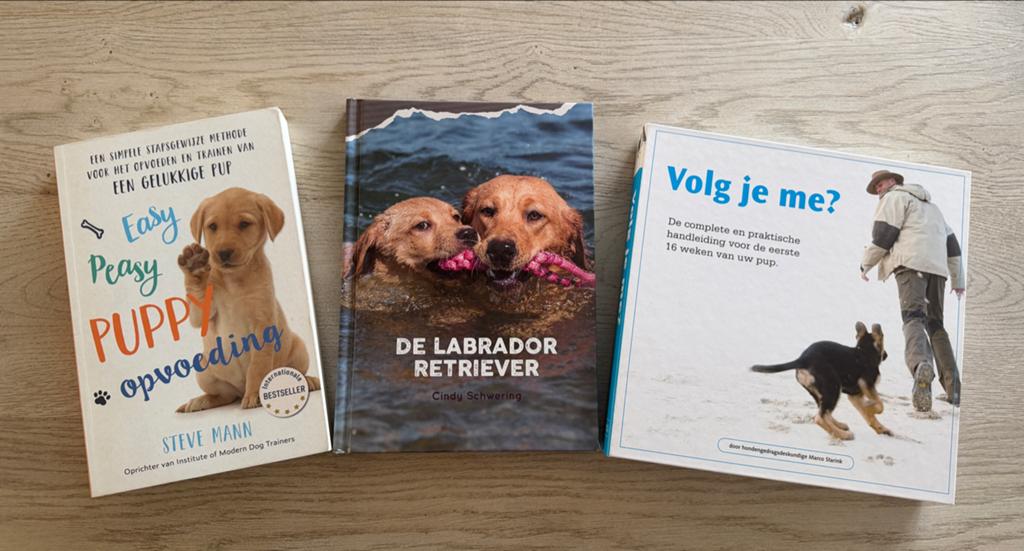 Boeken: Puppy opvoeden & De Labrador Retriever (3 stuks), Boeken, Dieren en Huisdieren, Ophalen of Verzenden, Gelezen, Honden