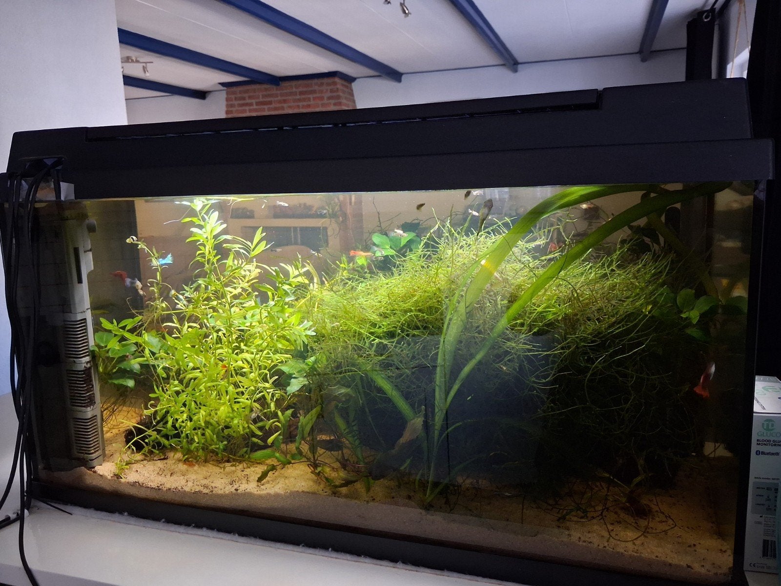 80 cm juwel aquarium te koop, Dieren en Toebehoren, Vissen | Aquaria en Toebehoren, Ophalen, Gebruikt, Gevuld zoetwateraquarium