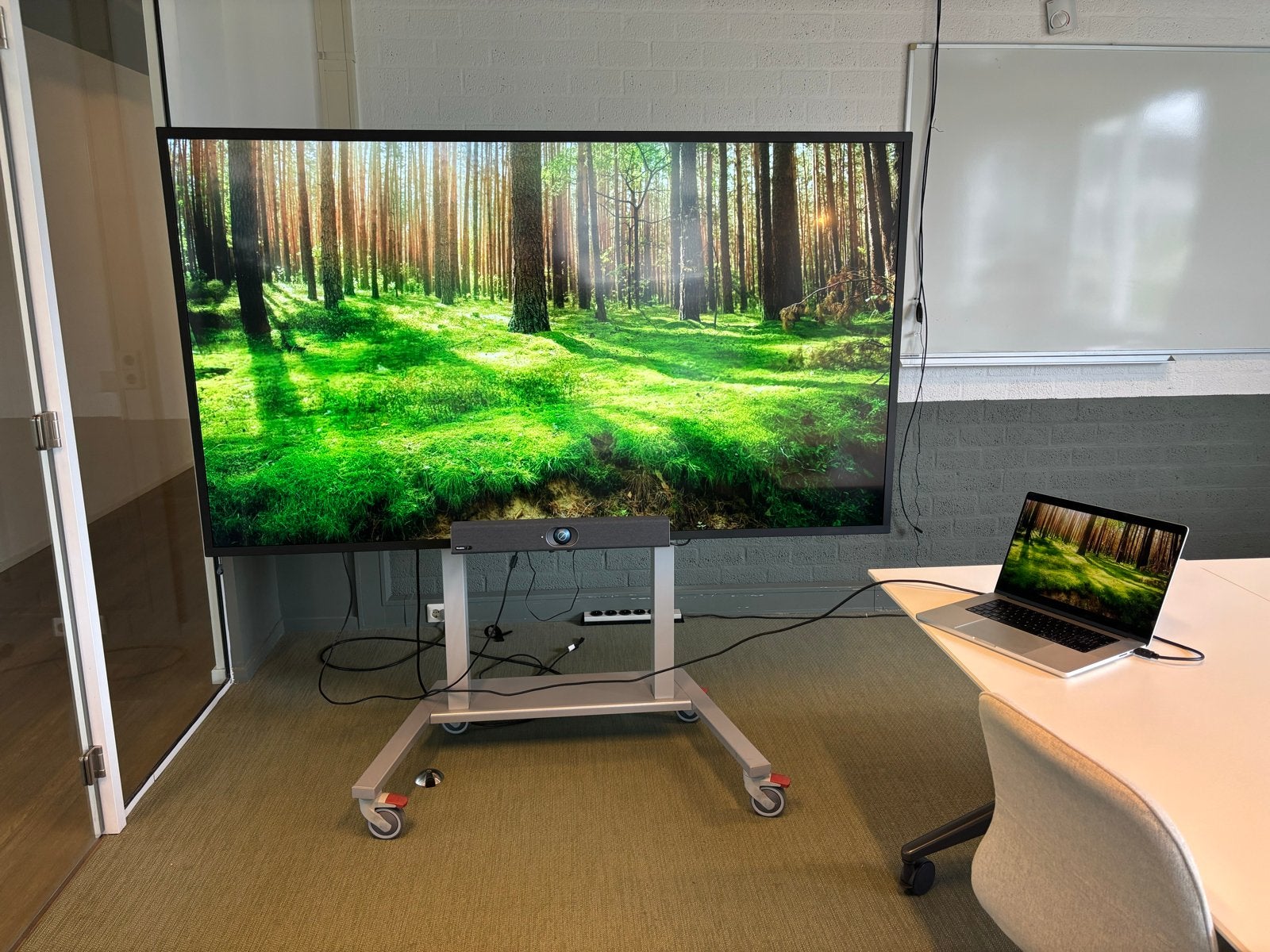 Ultragroot (200cm) Prestentatiescherm Philips op mobiele kar, Ophalen, Philips, LED, 50 Hz