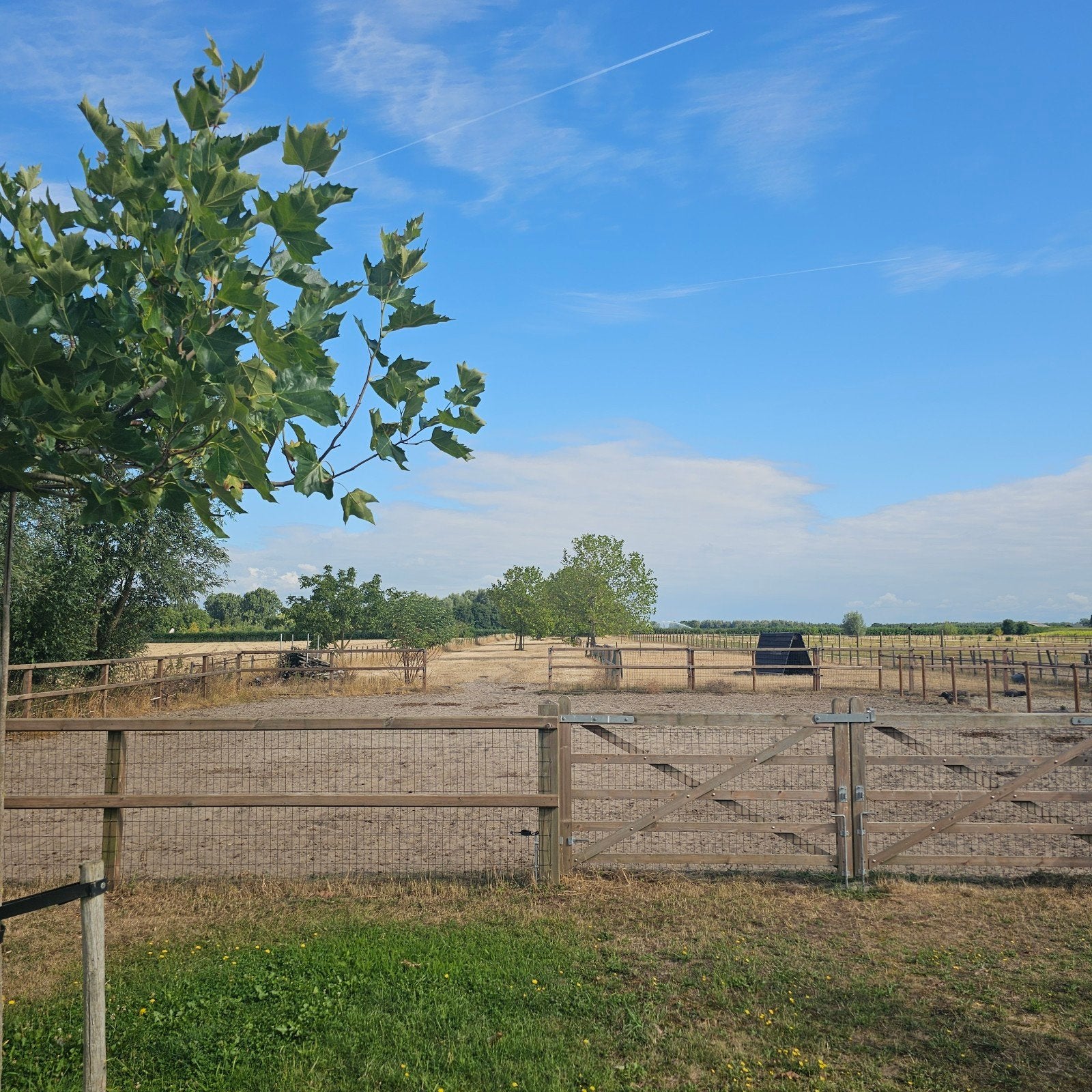 plekje vrij voor paard op pensioen in Almkerk, Dieren en Toebehoren, Stalling en Weidegang, Stalling