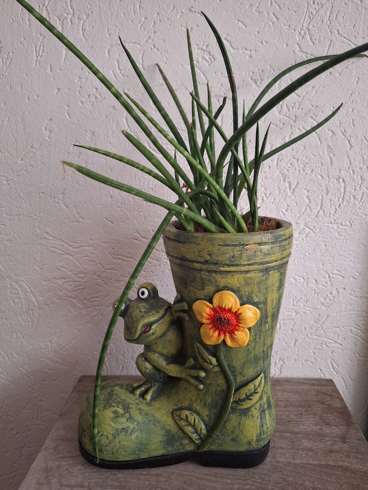 Leuke kikker bloempot met plant, Huis en Inrichting, Steen, Gebruikt, 50 tot 75 cm, Ophalen of Verzenden