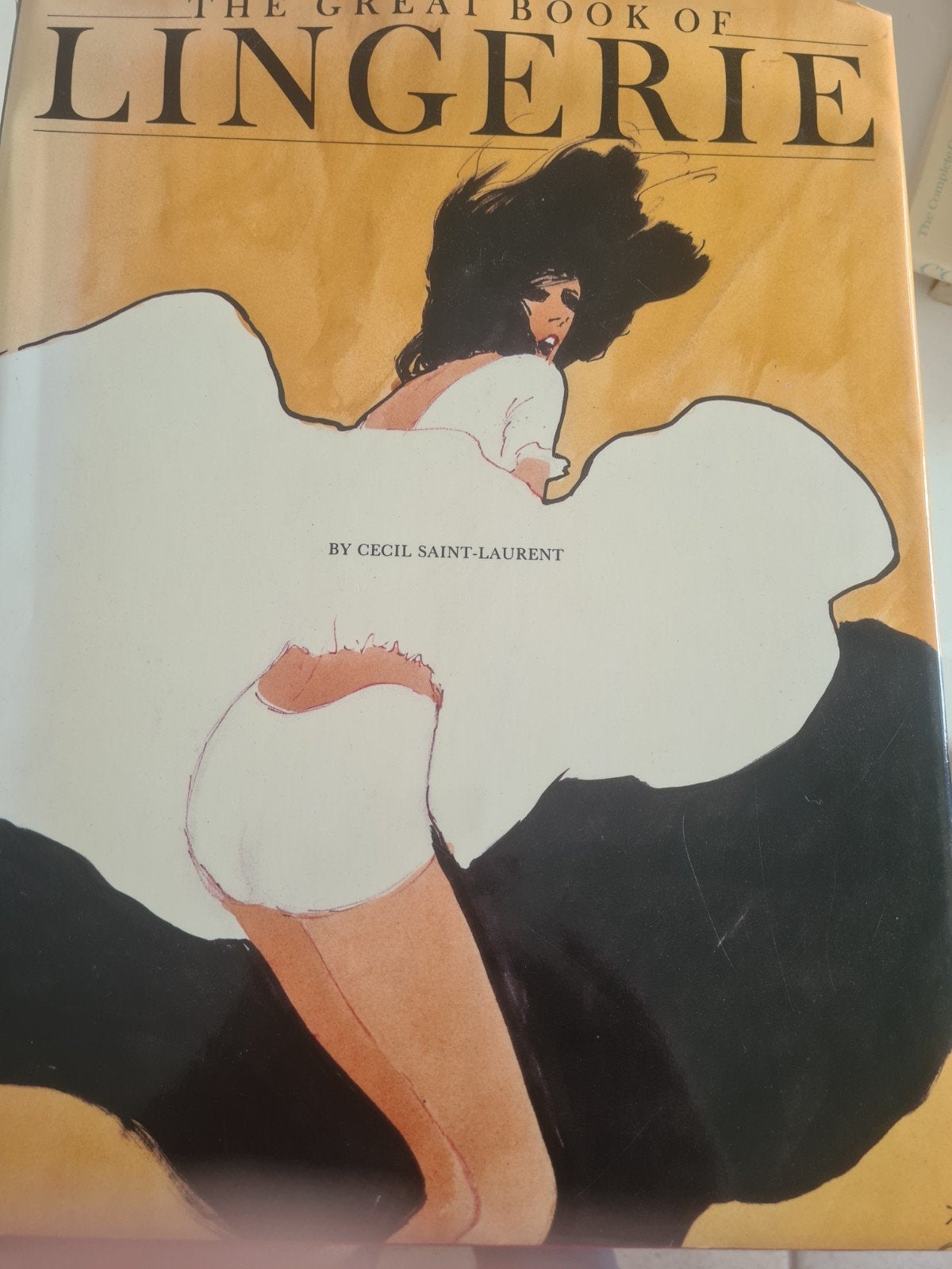 The Great Book of Lingerie - Cecil Saint-Laurent, Ophalen of Verzenden, Zo goed als nieuw, Cecil Saint-Laurent, Amerika