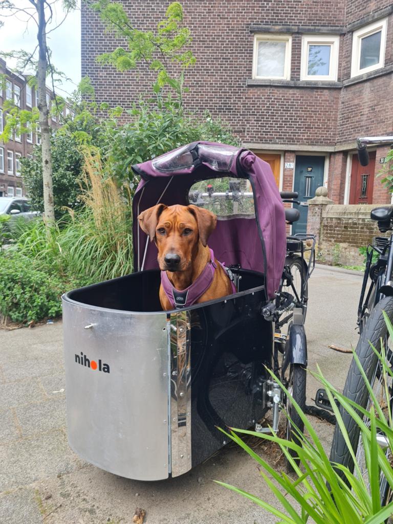 Nihola Dog elektrische bakfiets - perfect voor honden!, Goederen, Huif, Zo goed als nieuw, Ophalen