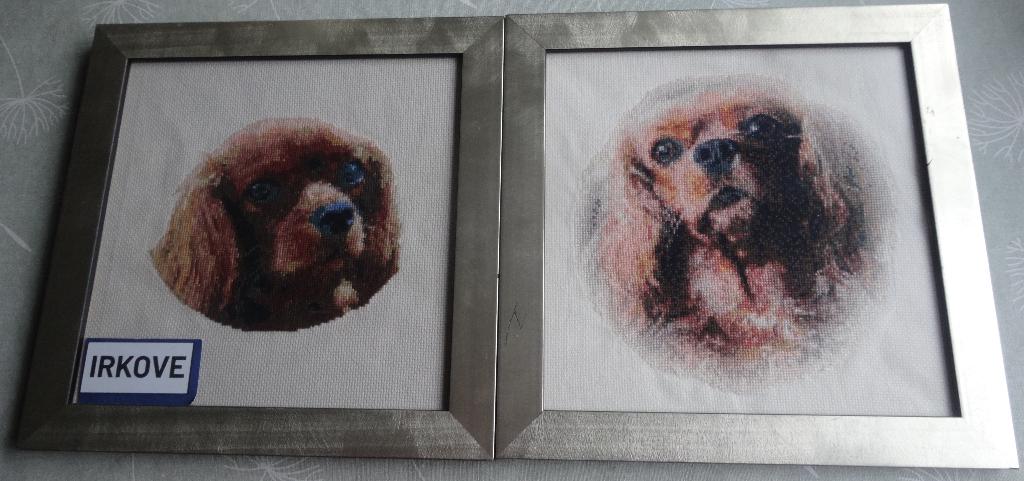 RUBY CAVALIER KING CHARLES SPANIEL * Geborduurd 2 x *, Verzenden, Nieuw, Hond of Kat, Overige typen