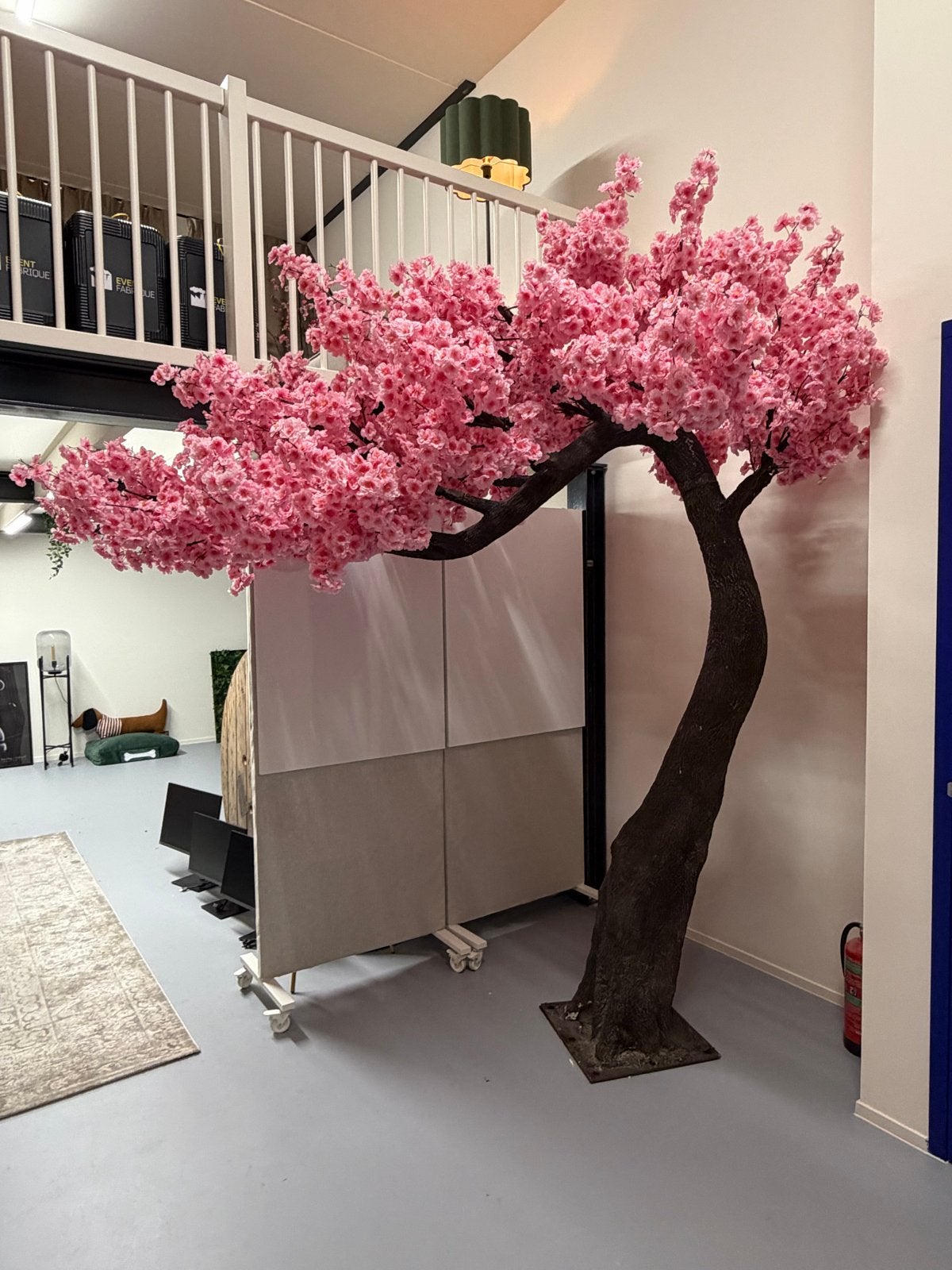 Nieuwe Bloesemboom - 3 meter hoog en breed, Huis en Inrichting, Ophalen, Binnen, Roze, Nieuw