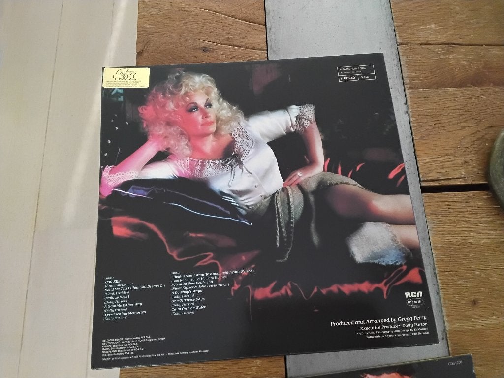 Vinyl, Cd's en Dvd's, Vinyl | Overige Vinyl, Ophalen, Gebruikt, 12 inch, LP