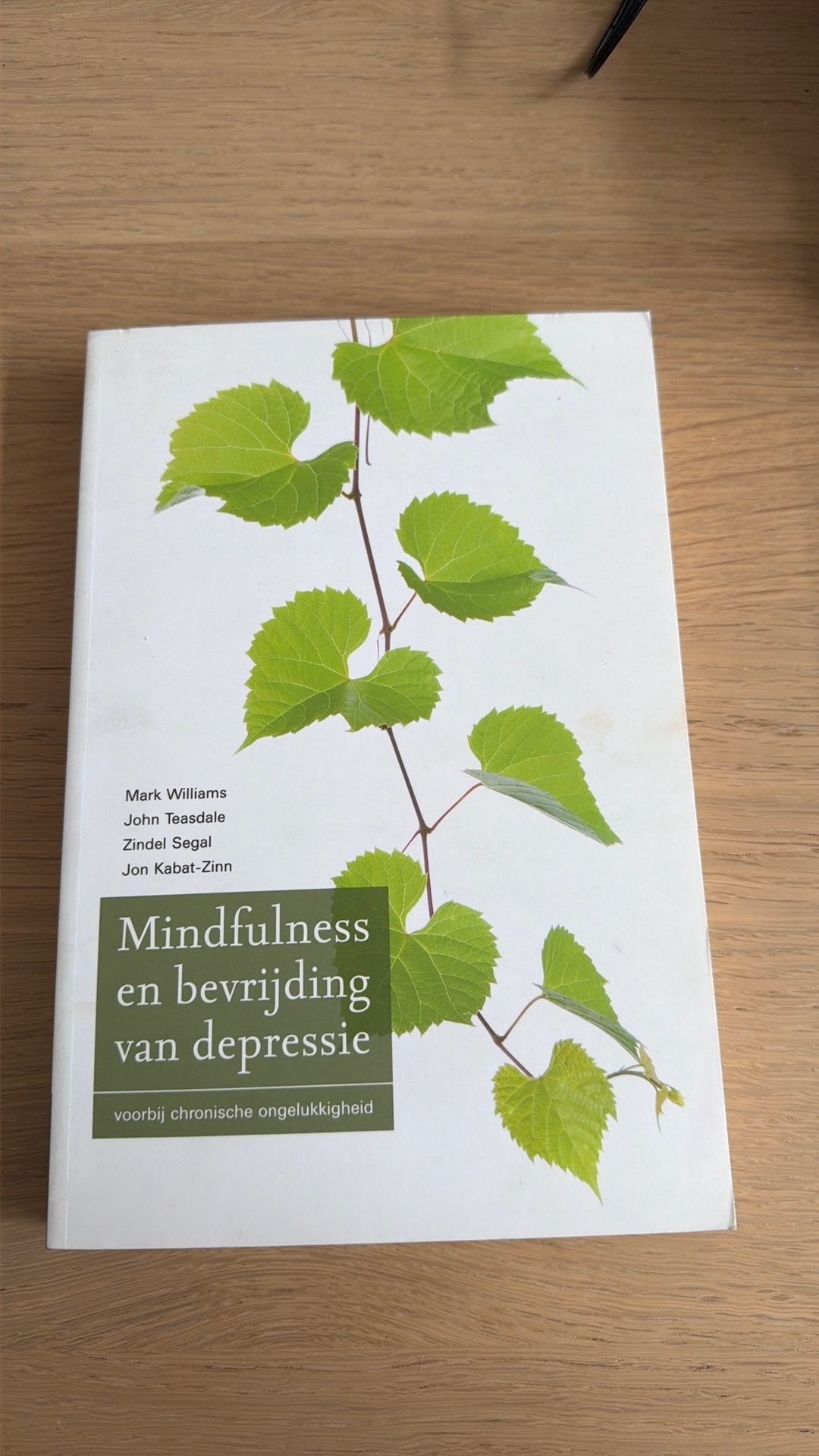 Mark Williams - Mindfulness en bevrijding van depressie, Boeken, Ophalen of Verzenden, Zo goed als nieuw, Mark Williams