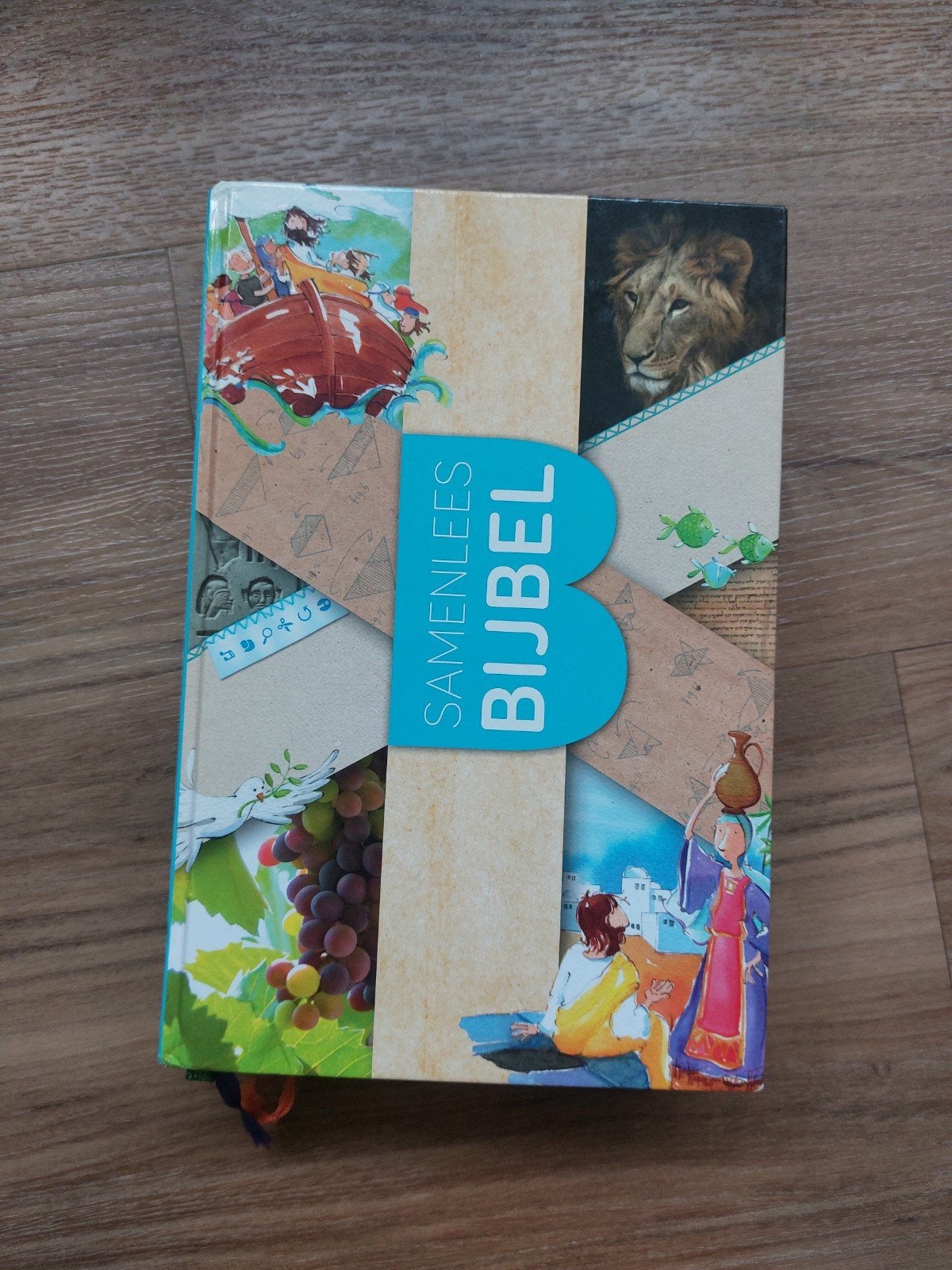 Samenleesbijbel - Nederlands Bijbelgenootschap, Ophalen of Verzenden, Gelezen, Nederlands Bijbelgenootschap, Christendom | Protestants