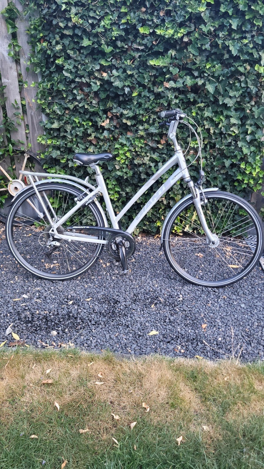 Giant Damesfiets - Cosmo RS, Ophalen, 28 inch, Gebruikt, Velgrem