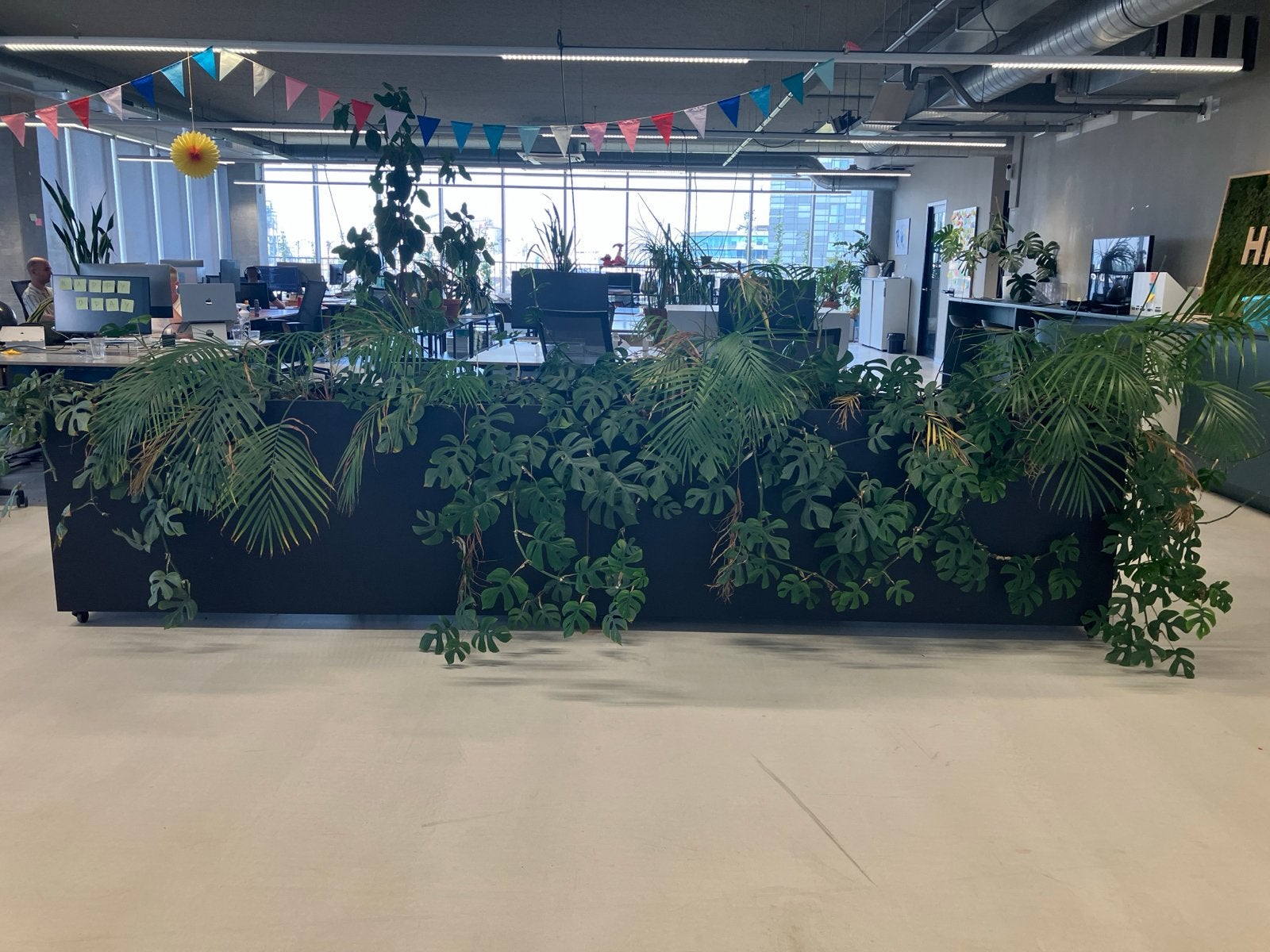 Zwarte plantenbakken (op wielen) - 2 beschikbaar of als set, Ophalen, Gebruikt, 100 cm of meer, Binnen