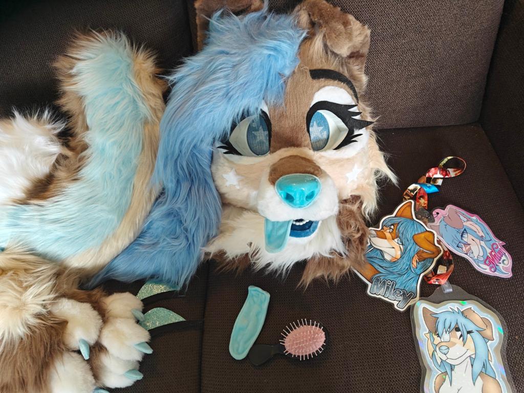 Fursuit te koop, Hobby en Vrije tijd, Ophalen of Verzenden, Nieuw