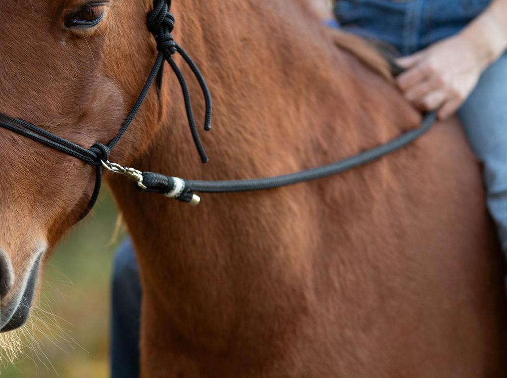 Sidepull touwhalster, Dieren en Toebehoren, Ophalen of Verzenden, Nieuw, Overige soorten