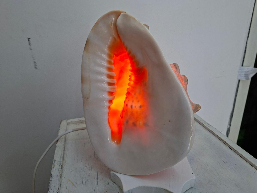 grote lamp op voet Cassis Rufa Helmschelp Helmut Schelp, 30 tot 60 watt, Led-lamp, Zo goed als nieuw, E27 (groot)