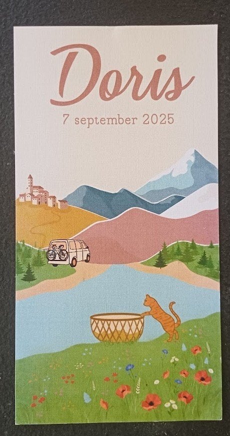 geboortekaartjes, Ophalen of Verzenden, 2000 tot heden, Geboortekaartje