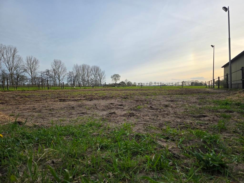 Gezocht! Grondwerk rijbak vlakmaken, Dieren en Toebehoren, Paarden en Pony's | Overige Paardenspullen, Ophalen of Verzenden