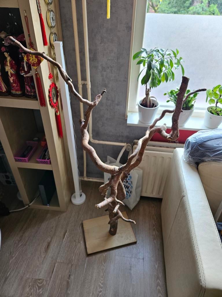 Te koop: standaard voor parkieten/ duiven, Dieren en Toebehoren, Vogels | Toebehoren, Ophalen, Gebruikt