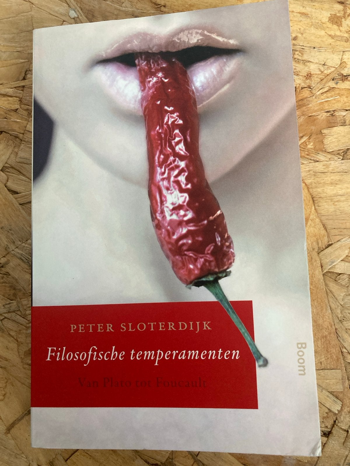 Filosofische temperamenten - Peter Sloterdijk, Ophalen of Verzenden, Gelezen, Algemeen