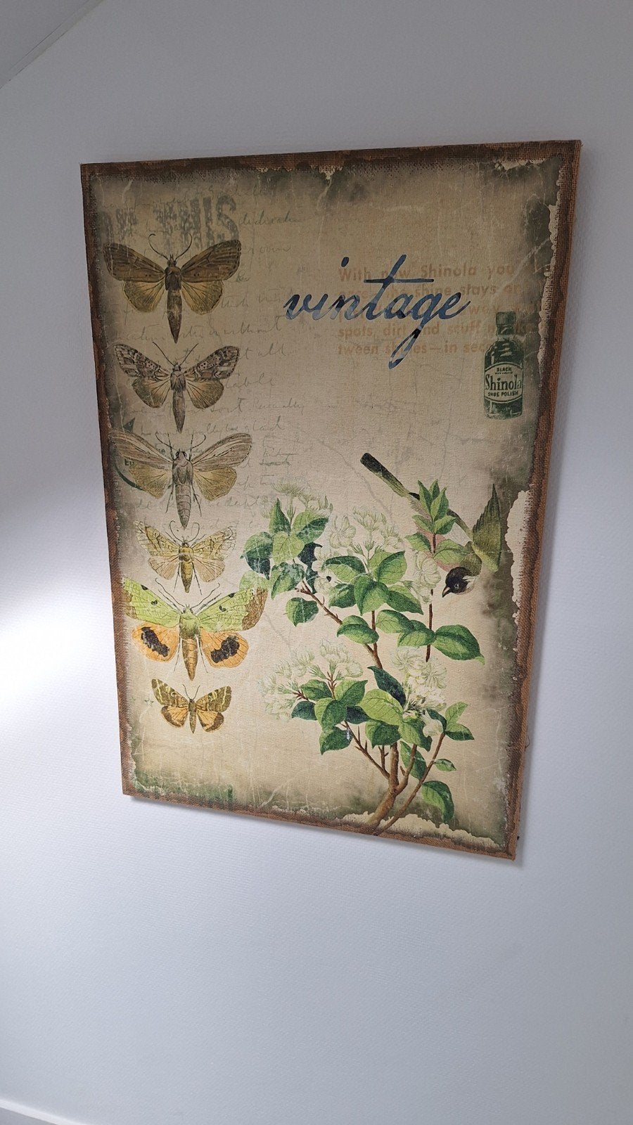 Vintage wanddecoratie met vlinders en vogels, Ophalen, Overige typen, Zo goed als nieuw, 75 – 100