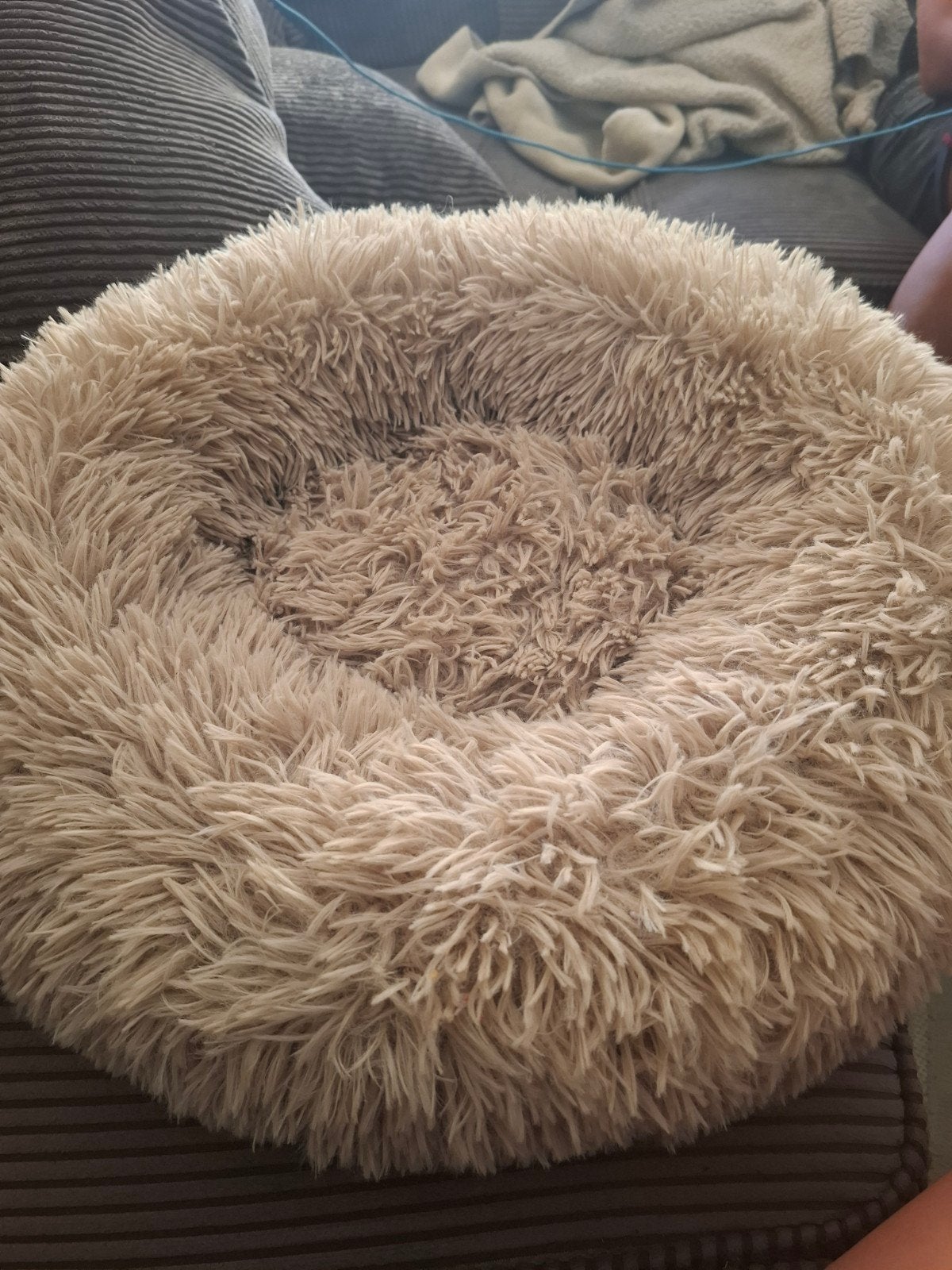 hondenmand voor kleine hondjes, Ophalen