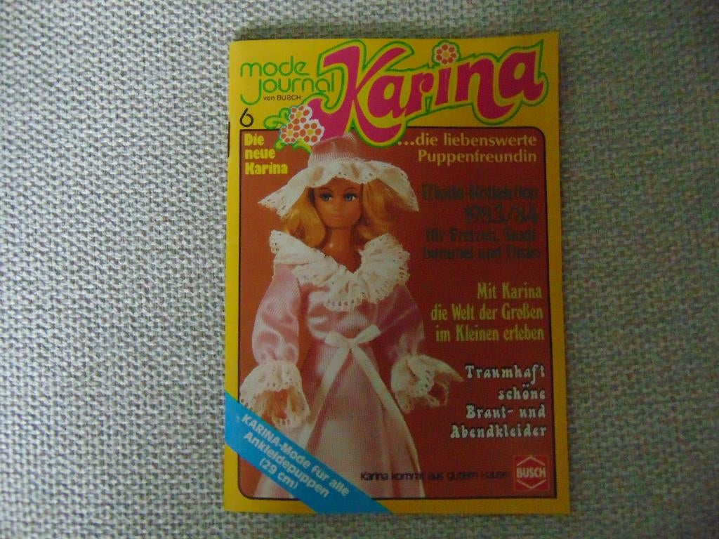 Barbie Karina boekje, Ophalen of Verzenden, Gebruikt, Accessoires