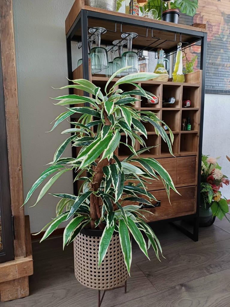 Decoratie plant/boom 65cm - Realistisch met houten stam, Beige, Handgemaakt, Kunstplant, Nieuw