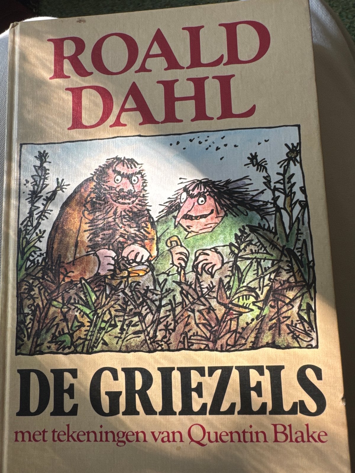De Griezels - Roald Dahl (met tekeningen van Quentin Blake), Ophalen of Verzenden, Gelezen, Fictie algemeen