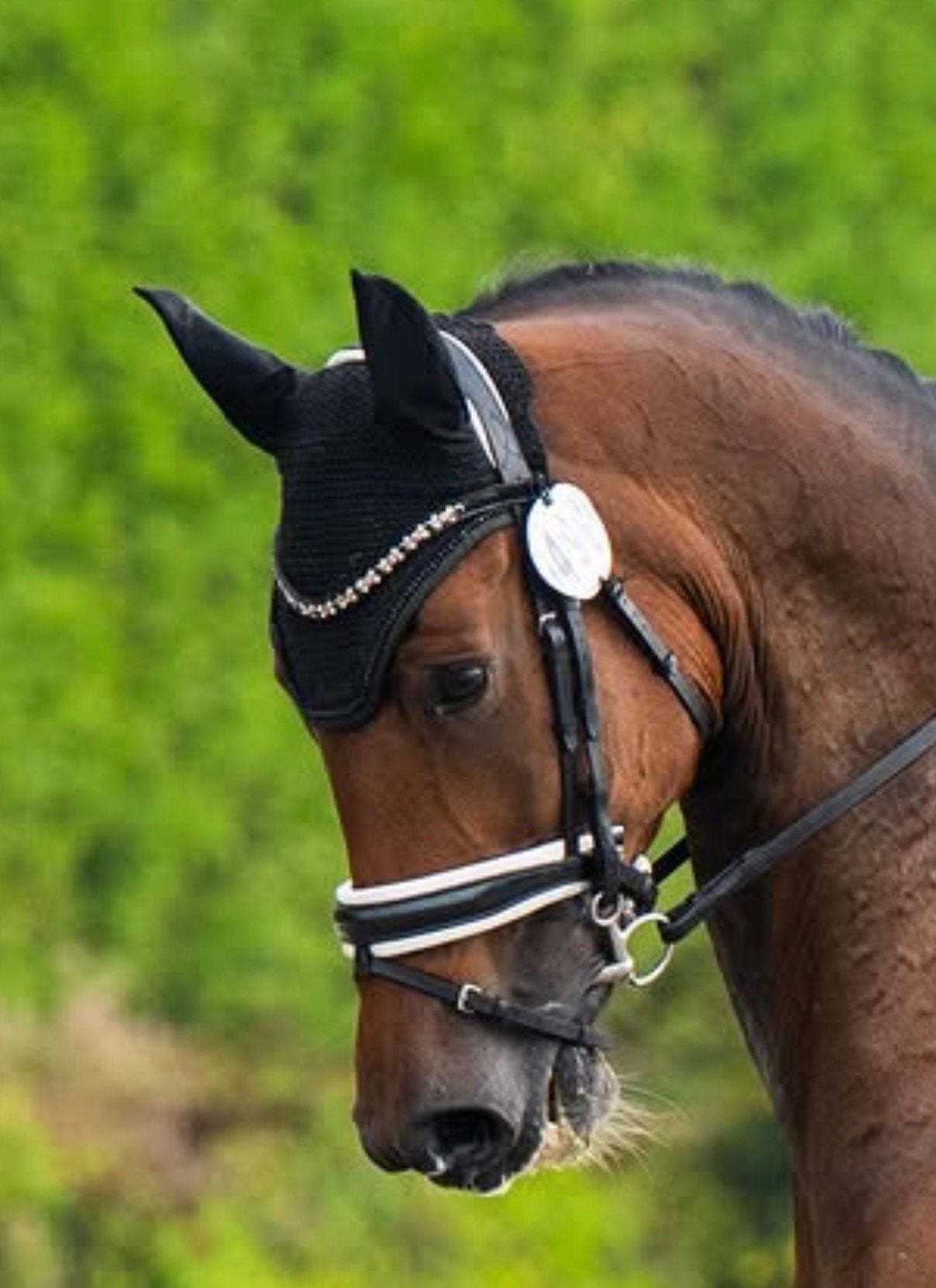 Tess trens hoofdstel wit onderlegd, Dieren en Toebehoren, Ophalen of Verzenden, Wit, Hoofdstel, Full